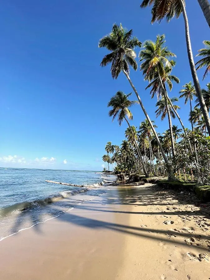 Villa Isha - Modernist Hideaway At Cap Bonita Las Terrenas
